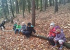 2017_10_Zeleny-009