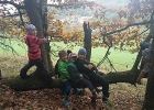 2017_10_Zeleny-010