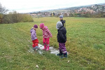 2017_10_Zeleny-011