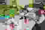 2019_09_ZNK_04