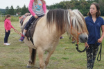 DSC00337