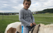 2021_tabory3-010