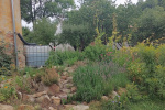 IMG-20240122-WA0017