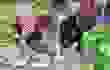 2021_11_ZNK_advent08